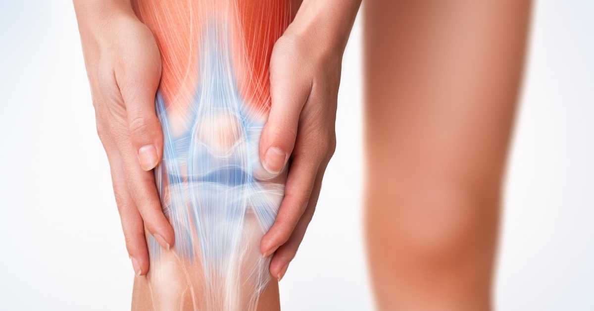 Staw kolanowy – budowa, ruchy i urazy kolana