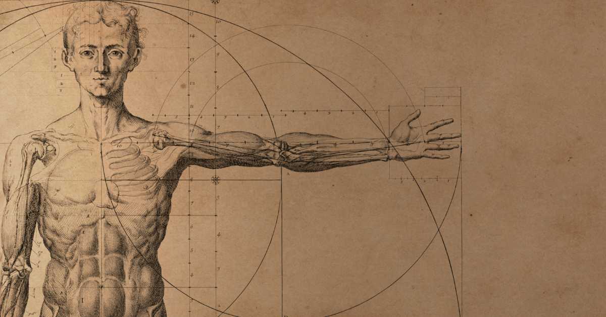 Anatomia funkcjonalna i anatomiczne kontinuum – wprowadzenie